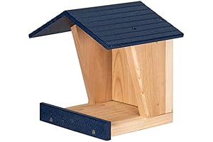 JC's Wildlife State-of-the-Art Bluebird House with Perches & Drainage