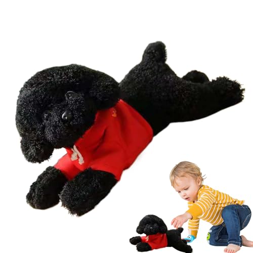 v[h  ʂ A { nhCh ₳G  gCv[h  킢 _炩̂ʂ 13.78C`̃V~[Vq̂ ct̉Ƃ̑