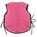Gsycle Mini Equestrian Vest, Pink Foam Padded Safety Horse Riding Protective Nylon Equestrian Gear Body Protector for Spring Summer Autumn Winter (S)