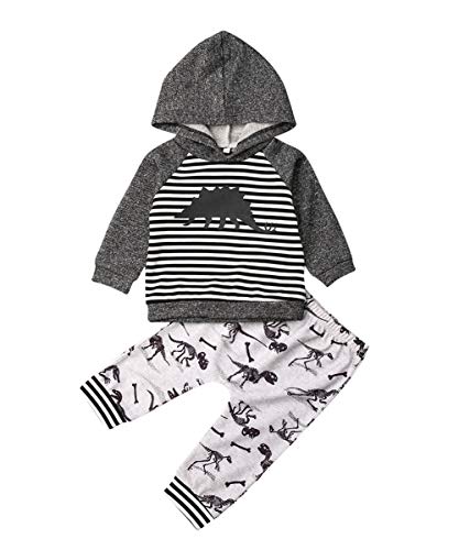 Toddler Infant Baby Boys Dinosaur Long Sleeve Hoodie Tops Sweatsuit Pants Outfit Set (0-6 Months, Striped Tops)