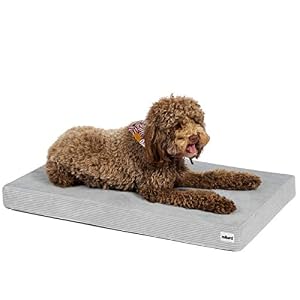Milliard Memory Foam Dog Bed with Removable Washable Waterproof Cover Orthopedic Pet Bed for Medium and Large Dogs Dog Crate Bed Extra Durable Soft Cover 35 x 22 inches