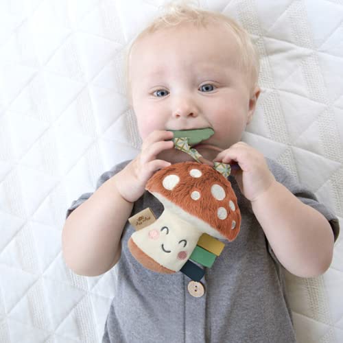 Itzy Ritzy Itzy Pal Infant Toy & Teether Includes Lovey, Crinkle Sound, Textured Ribbons & Silicone Teether, Mushroom #TOP1
