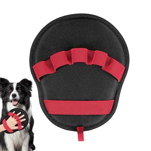 ybg   O[u - ÓdCN[i[ - 􂦂L̖уuV,\t@ Ƌ J[V[g J[ybg ߕ xbhV[c ƒ V[  p