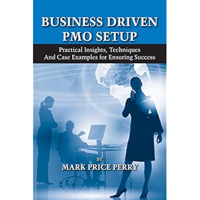 (BUSINESS DRIVEN PMO SETUP