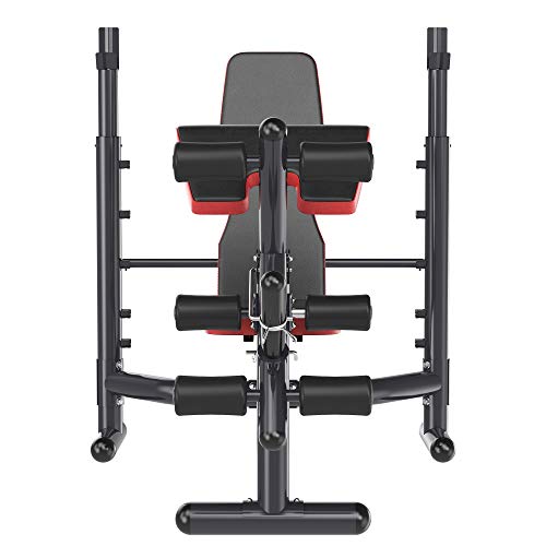 Soozier Heavy Duty Weight Bench Multiple Function Workout Bench with Preacher Curl, Leg Developer