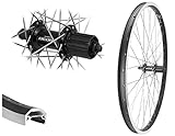 Das Hinterrad ist eingespeicht und sauber zentriert