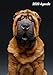 2020 Agenda: Shar Pei | Chiot ou Chien | 139 Pages | 12 Mois | Format A4 | Agenda | Journalier | Planificateur | Semainier Simple | Calendrier | Organizer