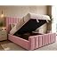 Pink Plush