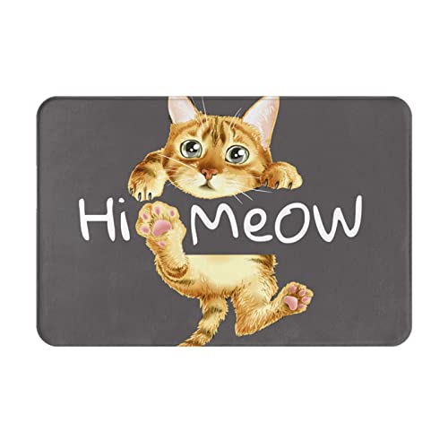 ���փ}�b�g���킢���L���A�j�������}�b�g�z�������R�ۖh�L�o�X�}�b�g�z������~�ߖh�J�r�������L���o�X���[���L�b�`���l�G���p�J�[�y�b�g40×60cmfd53