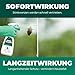 Silberkraft Stinkwanzenspray 500 ml, Effektiver Sofort- und Langzeitschutz gegen Stinkwanzen, ideal für Fenster, Türen, Fassaden und Wohnräume, Mit Repellent-Wirkung für nachhaltige Abwehr
