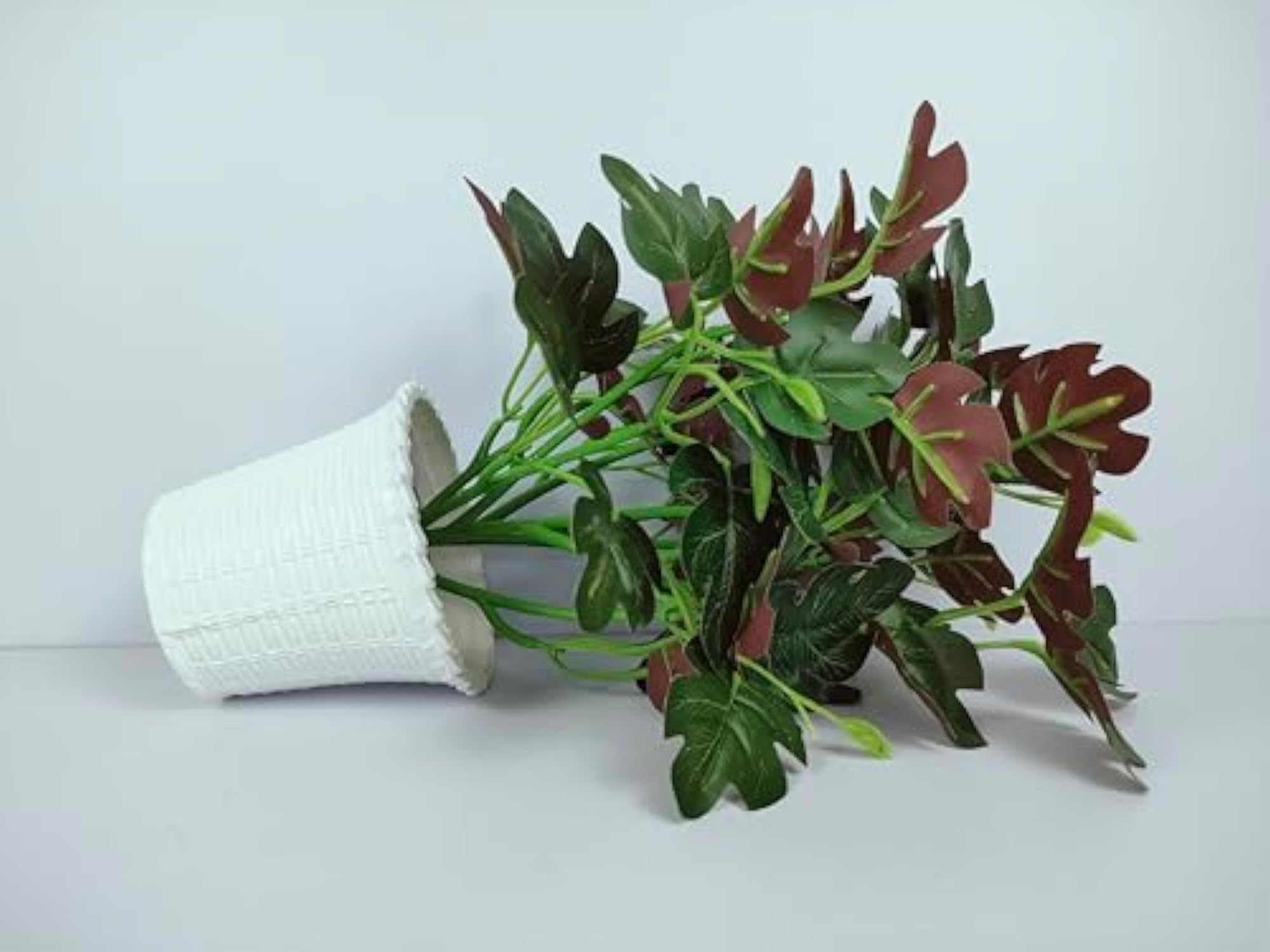 Artificial Plants with White Pots, Set of 1