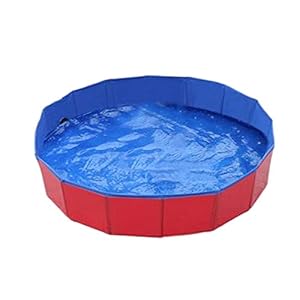 Schildeng Hondenbadkuip, hondenzwembad met afvoerklep groot hondenzwembad voor grote of middelgrote honden buiten PVC zwembad Kiddie zwembad voor honden en katten, 31,5×7,8 inch