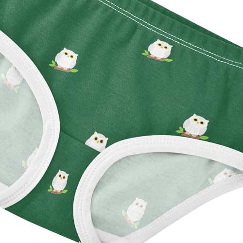Cute Owl Bird Green Toddler Girls's Underwear 2T 23022364