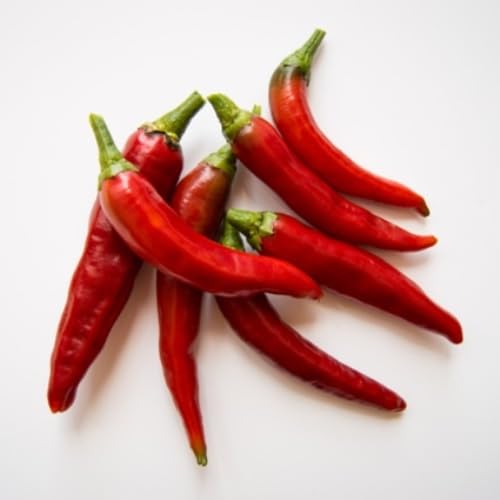 Sementes de Pimentas Diversas Variedades (Malaguetinha 10 Sementes)