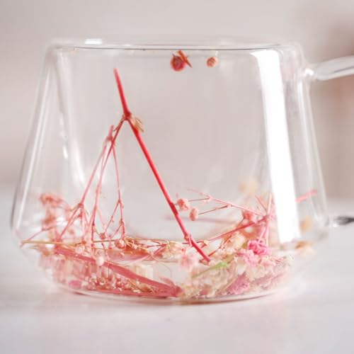 Image of Nestasia Double Wall Glass Mug with Dried Flowers Set of 2 (180ml Each) - Transparent Borosilicate Floral Glass Tea Cups | Lightweight & Durable Coffee Mugs - Perfect for Gifting (Pink)