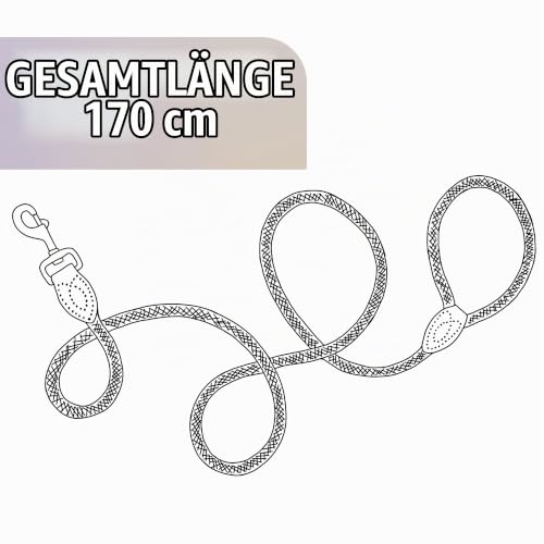 ne&no Tauleine 1.7m (leicht dehnbar) für mittelgroße bis ganz große Hunde I Trainingsleine I Hundeleine robust I Führleine rund, geflochten I Seil Leine Hund I Cityleine I Dog Leash Taupe, 170 cm