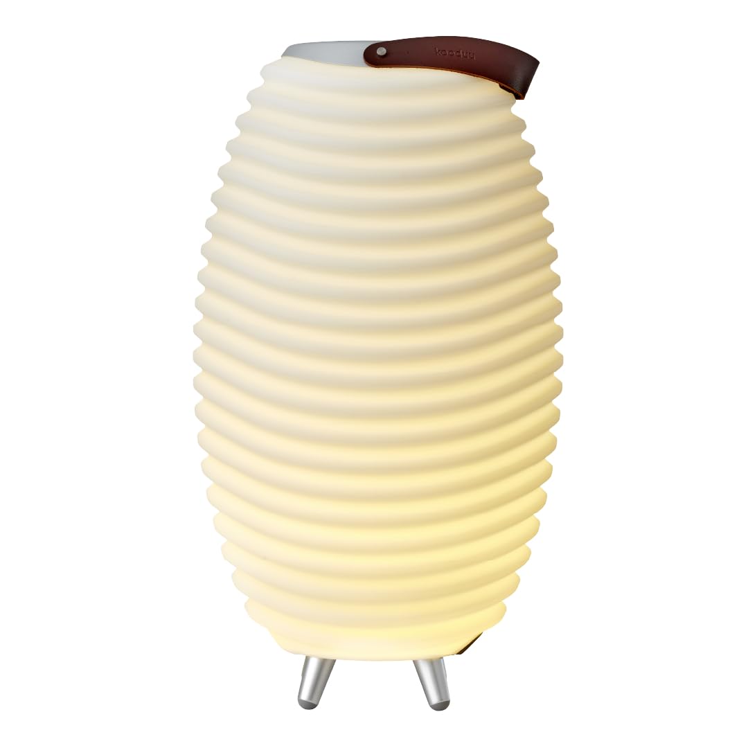 Kooduu Synergy 50 - Bluetooth Lautsprecher mit Lampe - Weinkühler-Funktion | 2L Kühlfach - Dimmer mit 4 Stufen - Bis zu 10 Stunden Akkubetrieb - 10W Vollbereich-Sound - TWS-Kopplung - USB-C - 2700K