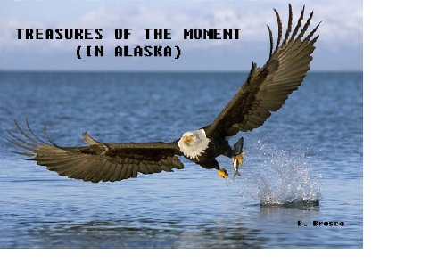 Treasures of the Moment (in Alaska)