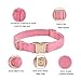 YUDOTE Hundehalsband und Leine Set Klein, Weiche Reizfreie Cord-Halsband-Leine Passende Combo für Den Täglichen Spaziergang, Rosa