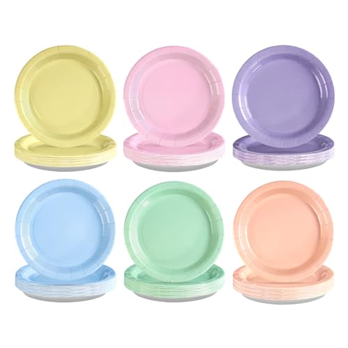 60Pcs Pastel Rainbow Paper Plates 9" Colorful Heavy Duty Paper Plates