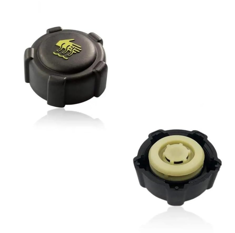 Radiatore Cap For Renault Clio Kangoo Laguna Megane Espace Scenic Trafic Modus 8200048024
