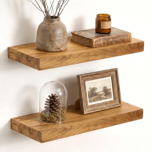 Image of Fun Memories 16 inch Wall Mounted Floating Shelves, Natural Elm Wood, 2 Pack