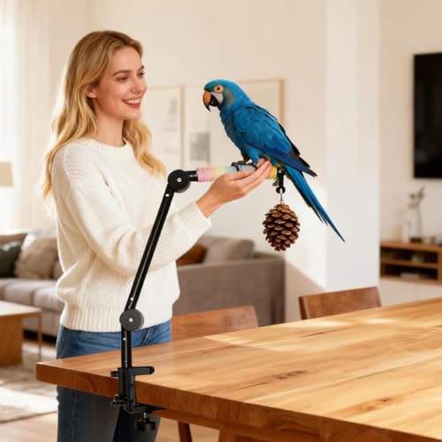 Perchoir pour perruche calopsitte conure inséparable avec jeu escalade et éveil