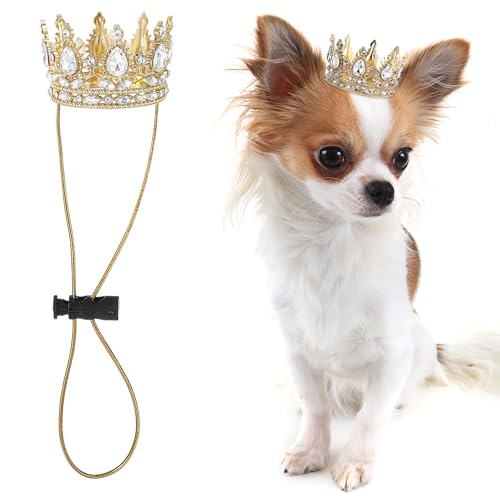 Abbylike Pet Rhinestone King Crown Small Size Queen Crown for Halloween Costume for Small Dog Cat Cosplay Party Accessories Adoption Celebration Wedding Birthday Photos Prop Costume