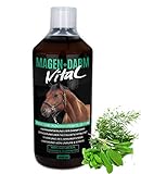 Magen+Darm Vital Darmsanierung für Pferde - gegen Kotwasser, Durchfall, Koliken & Unruhe - Probiotika Darmkur zur Stärkung der Darmflora, Immunsystem und Verdauung - steigert Vitalität & Fresslust 1l