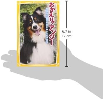 Hozir porno televizor tomosha qiling