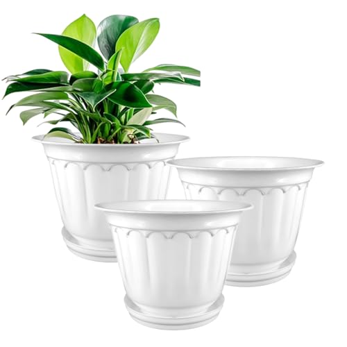 GARDENS NEED 10-Inch (25.4 cm) Jasmine Flower Pot with Drip Tray ...