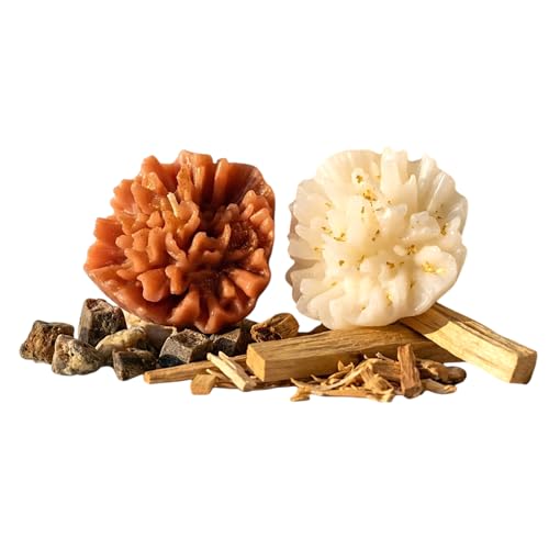 Bougie Palo Santo Musc : l'idée cadeau spirituelle idéale à offrir