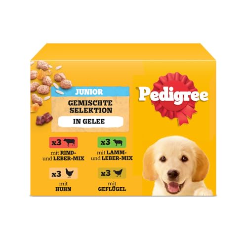 PEDIGREE DOGCARE Hundefutter Portionsbeutel Chunks in Gelee Junior 4 x 12 x 100g