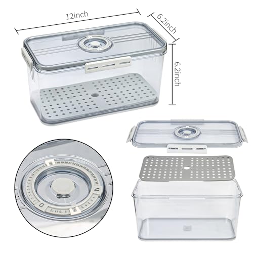 Contenedor de almacenamiento de pan DBOO transparente gris con esfera 3