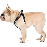 Hundegeschirr Leder Softgeschirr Verstellbare Brustgeschirre Norweger Haustier Ledergeschirr Weichem für Kleine Mittlere Große Hunde (S, schwarz)