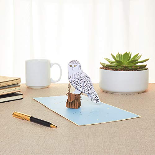 Image of Rykamia Pop Up Owl Card - Blank Envelope, Blank Note, Mother's Day, Thank You