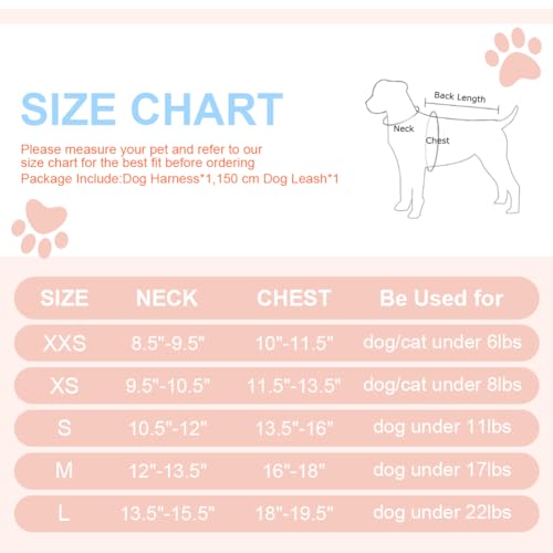 Doggiekit Hundegeschirr Kleine Hunde mit Leine, verstellbares reflektierendes Step in Welpengeschirr Leine, Atmungsaktives Mesh Hundegeschirr,weich gepolsterte Weste für extra kleine/mittelgroße Hunde