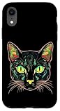 Gatos Accesorios Y Gatos Pata Gato Diseños