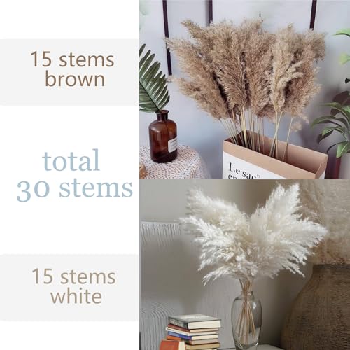 Image of 30 Stems 28 inch Boho Decor Tall - Dried Pampas Grass, Brown & White Pampas Grass Fluffy Large, Dry Flowers, Tall Pampas Bulk for Room Decor, Home Decor Floor,Wedding Decor