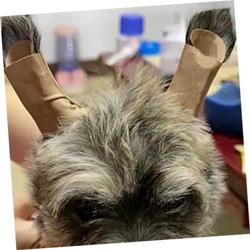 Supports d'oreilles pour chien et autocollants de positionnement pour chiot - 5