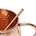 Premium Quality Copper Straws for Moscow Mules - No mug required! 5.5" - Set of 5 - by Alchemade