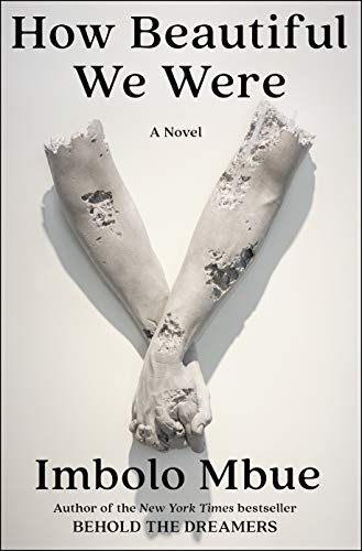 Cover zum Buch How Beautiful We Were