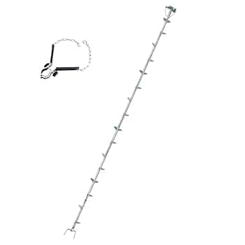 Ichigo (枝垂れヒバ２点セット) 41LBR04QSiL._UF350,350_QL50_.jpg