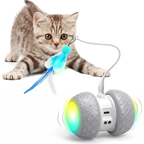 Find The Best Robotic Toys For Cats Reviews & Comparison Katynel