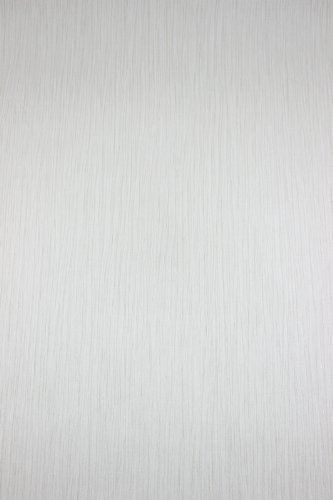 BN Wallcoverings Vlies Tapete uni struktur hell grau