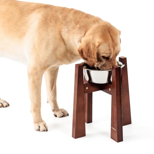 Podinor ^p˃hbO{EX^h vȒ|̃hbOt[hƋXe[V - ɒ߉\ (6Jbv{Et)