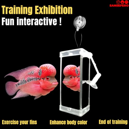 Image of SANSEFERO Rumble Fish Training Mirror Flowerhorn Training Three Side Mirror with a Frame, Interactive Floating Ball and Suction Cup for Representability Fin and Improves Physical Exercise (DYJ-10)