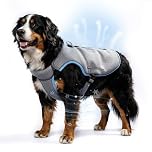 Mora Pets Lightweight Evaporative Dog Cooling Vest with Two Ice Packs, Adjustable Reflective Cooling Vest with Sturdy Metal D Ring for Large Dogs 60-90LBs(Light Blue XXL)