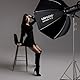 Bowens Mount Softbox 60cm LAPGOOD FS60 Softboxen, Quick Release Faltbare Softbox mit Honeycomb Gitter, S-Typ Blitzhalterung, Bowens Mount und Tragbartasche, Soft Box für Studio Photography Video Blitz