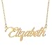 Aoloshow Elizabeth Name Pendant Necklace Nameplate Necklaces - 18k Gold Plated Stainless Steel Jewelry for Womens Mens Mother Daughter Birthday Gift Christmas Gifts